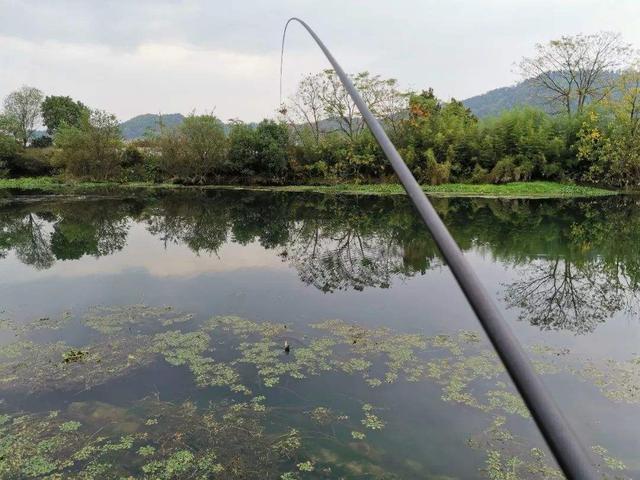 长竿短线并不神秘，深冬初春野钓利器，技术要点详解